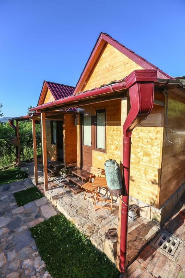 Bukhriani Vila Kʼutʼaisi Exterior foto